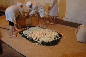 Les tapis de jasmin sur les tapis de feuilles de thé.